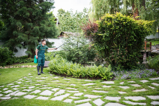 Best Wasp Removal Services  in Wailua, HI