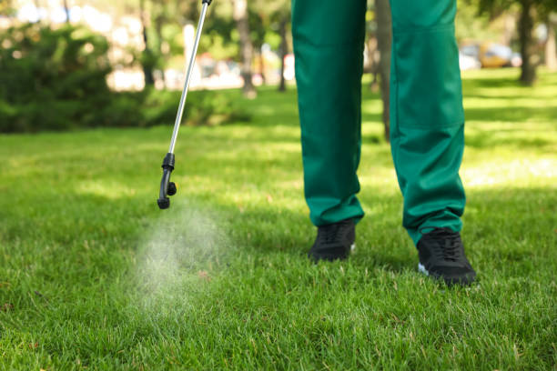 Reliable Wailua, HI Pest Control Solutions