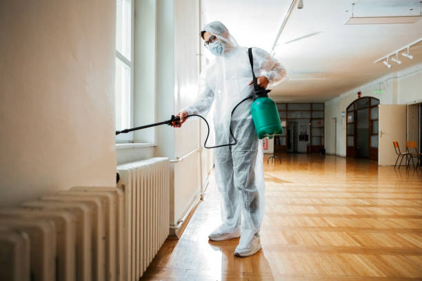 Best Pest Control Near Me in Wailua, HI